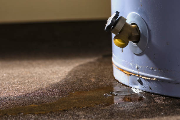 Best Water damage restoration company  in Hearne, TX