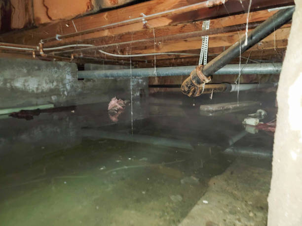 Professional Water damage restoration in Hearne, TX