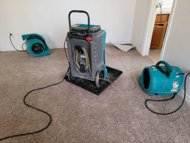Best Sewage cleanup and water damage restoration  in Hearne, TX