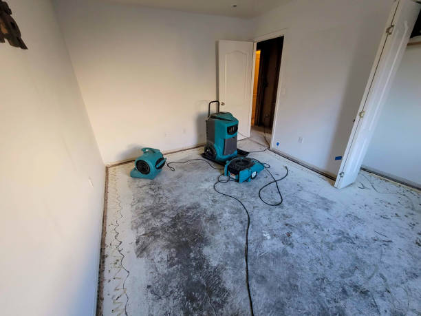 Best Water damage contractors near me  in Hearne, TX