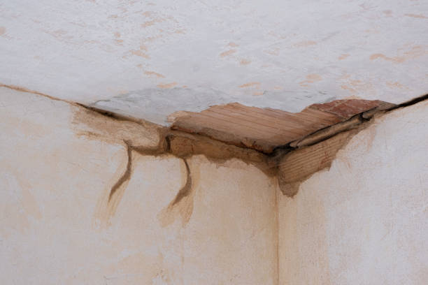 Best Water damage restoration insurance claims  in Hearne, TX