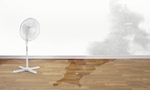 Best Water damage restoration insurance claims  in Hearne, TX