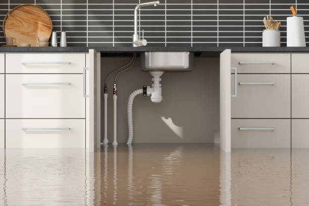 Best Mold removal after water damage  in Hearne, TX