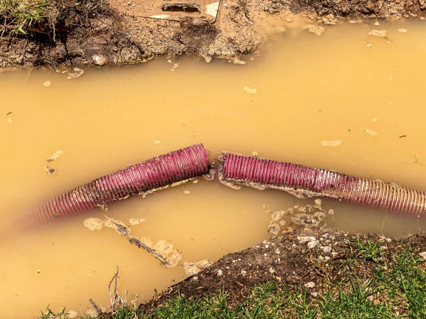 Best Water damage cleanup near me  in Hearne, TX